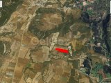 İSKELE DERİNCE KÖYÜNDE SATILIK TARLA