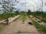 TEK YETKİ ÇİFTLİK EVİ TAM DONANIMLI DOĞAYLA İÇ İÇE MAĞUSA ÇANAKKALE BÖLGESİ