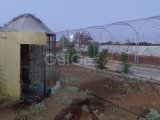 TEK YETKİ ÇİFTLİK EVİ TAM DONANIMLI DOĞAYLA İÇ İÇE MAĞUSA ÇANAKKALE BÖLGESİ
