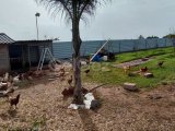TEK YETKİ ÇİFTLİK EVİ TAM DONANIMLI DOĞAYLA İÇ İÇE MAĞUSA ÇANAKKALE BÖLGESİ
