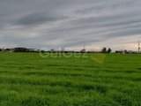 TEK YETKİ ÇİFTLİK EVİ TAM DONANIMLI DOĞAYLA İÇ İÇE MAĞUSA ÇANAKKALE BÖLGESİ