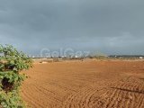 TEK YETKİ ÇİFTLİK EVİ TAM DONANIMLI DOĞAYLA İÇ İÇE MAĞUSA ÇANAKKALE BÖLGESİ