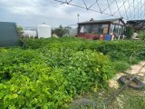 TEK YETKİ ÇİFTLİK EVİ TAM DONANIMLI DOĞAYLA İÇ İÇE MAĞUSA ÇANAKKALE BÖLGESİ
