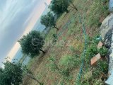 MAĞUSA MARAŞ BÖLGESİ 4+1 VİLLA