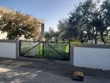 İskele Bahçeler'de 3+1 Müstakil Ev - Göz Alıcı Bahçe ve Şehir Manzarasıyla Satılık