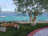 Lüks 4 yatak odalı, müstakil plaj önü villa
