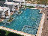 Ünlü Long Beach Bölgesinde Yer Alan Havuz Manzaralı 1 Yatak Odalı Daire