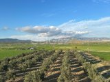 Gazimağusa Geçitkale'de Doğa Manzaralı Eşsiz Villa - Yatırım Fırsatı