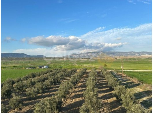 Gazimağusa Geçitkale'de Doğa Manzaralı Eşsiz Villa - Yatırım Fırsatı
