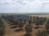 Gazimağusa Geçitkale'de Doğa Manzaralı Eşsiz Villa - Yatırım Fırsatı