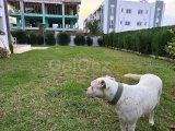 TUZLA'NIN KENARINDA 3 YATAK ODALI VİLLA