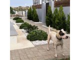 TUZLA'NIN KENARINDA 3 YATAK ODALI VİLLA