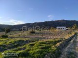 İSKELE ARDAHAN SATILIK 2+1 MÜSTAKİL EV & ARSA