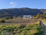 İSKELE ARDAHAN SATILIK 2+1 MÜSTAKİL EV & ARSA