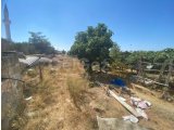 Karpaz Sıpahı'da 3 Yatak Odalı Bir Ev