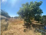 Karpaz Sıpahı'da 3 Yatak Odalı Bir Ev