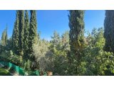 Satılık Daire-Alsancak, Girne