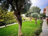 Satılık Daire-Alsancak, Girne