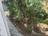 GAZİMAĞUSA'DA 3/4 YATAK ODALI VİLLA – £249,950