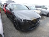 2022 Mazda CX-5 20s Black Ed..