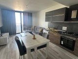 Premier'de Üst Kat 1+1 Kiralık Daire