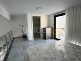 3+1 Loft, Tam Eşyalı, Çatı Terası, 2 Teras, Aidat Dahil