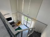 3+1 Loft, Tam Eşyalı, Çatı Terası, 2 Teras, Aidat Dahil