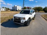 2025 Toyota Land Cruiser 250