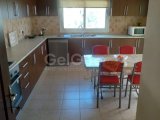 Kiralık Daire - Gülseren, Gazimağusa, Kuzey Kıbrıs MAĞUSA GÜLSEREN BÖLGESİNDE 3+1 KİRALIK DAİRE EŞYALI 140 M2 600 £ DEN SENELIK ÖDEMELİ 1 DEPOZIT 1 KOMISYON AİD