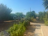 LAPTA'DA KİRALIK MÜSTAKİL VİLLAMIZ