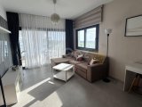 2+1 kiralık,Caesar blue