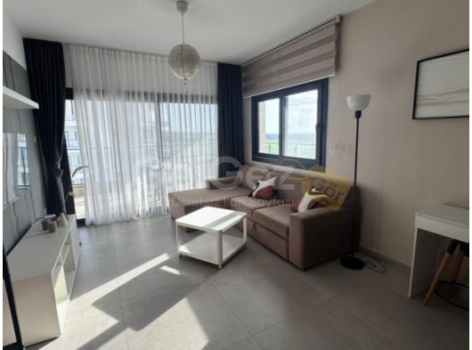 2+1 kiralık,Caesar blue