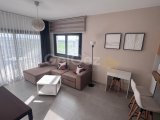 2+1 kiralık,Caesar blue