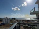 2+1 kiralık,Caesar blue
