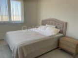 1+1 kiralık,long beach’te royal sun