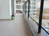 2+1 kiralık,long beach’te sezar 4