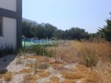 Girne Alsancak'ta 4+1 havuzlu kiralık villa