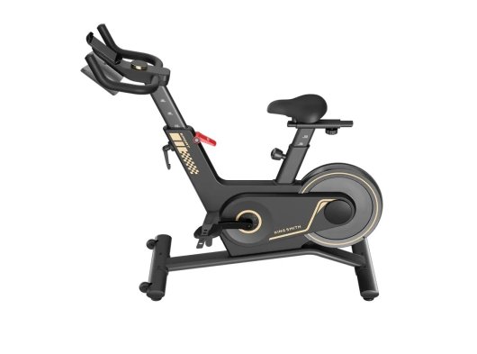 Kingsmith Spin Bisikleti - PB08S
