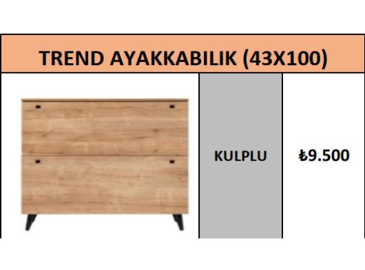 TREND AYAKKABILIK (43X100)