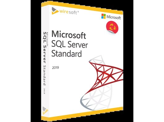 MS WINDOWS SQL SERVER 2019 STANDART