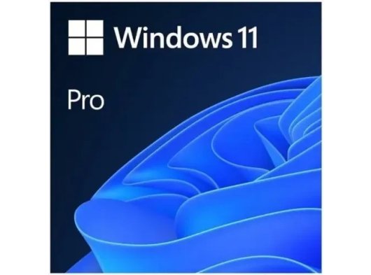 Microsoft Windows 11 Pro İngilizce OEM FQC-10528 64 Bit İşletim Sistemi