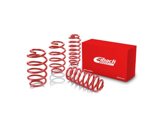 Duster 4x4 Eibach Pro-Kit Spor Yay Seti