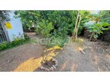 GİRNE, ALSANCAK – MİLOS PARK’TA SATILIK BAHÇELİ 2+1 DAİRE