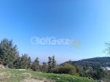 SATILIK ÖZEL ARSA 7799,91 M² PRİME GAYRİMENKUL İNCESU DAĞ ETEĞİNDE MÜKEMMEL KONUM £210,000 DONUMU