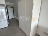 Caesar Blue’da Kiralık Stüdyo – Long Beach, İskele
