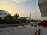 Esentepe, Bahama Site, Studyo
