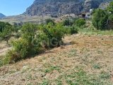 Kozanköy Merkezinde Satılık 3+1 Köy Evi