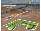 Dörtyol’da Uygun Fiyatlı Müstakil Tapulu Arsalar
