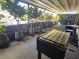 KİRALIK ULTRALUX 1+1 GİRNE MERKEZ