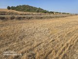 AVTEPE/YEŞİLKÖY SATILIK TARLA TOPLAMI 2 DONUMU 30,000£ PREFABRIK EV OLUR,EKİM BİÇİM OLUR YOL DIBINDE